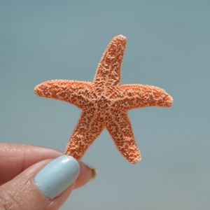 Thanks for visiting!